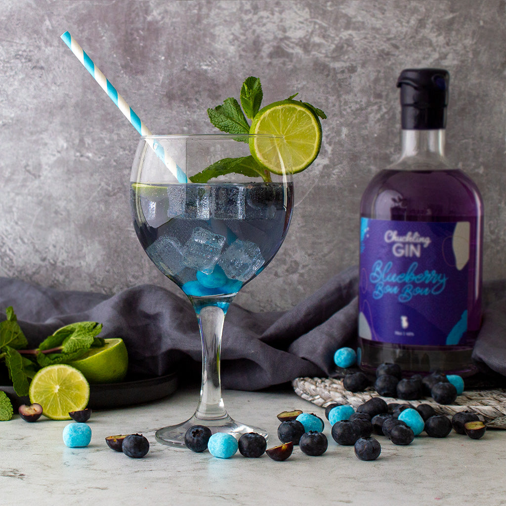 Blueberry Gin cocktail with ice, lime and mint, served beside a bottle of Blueberry Gin and fresh blueberries.