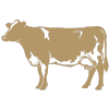 British Cheese