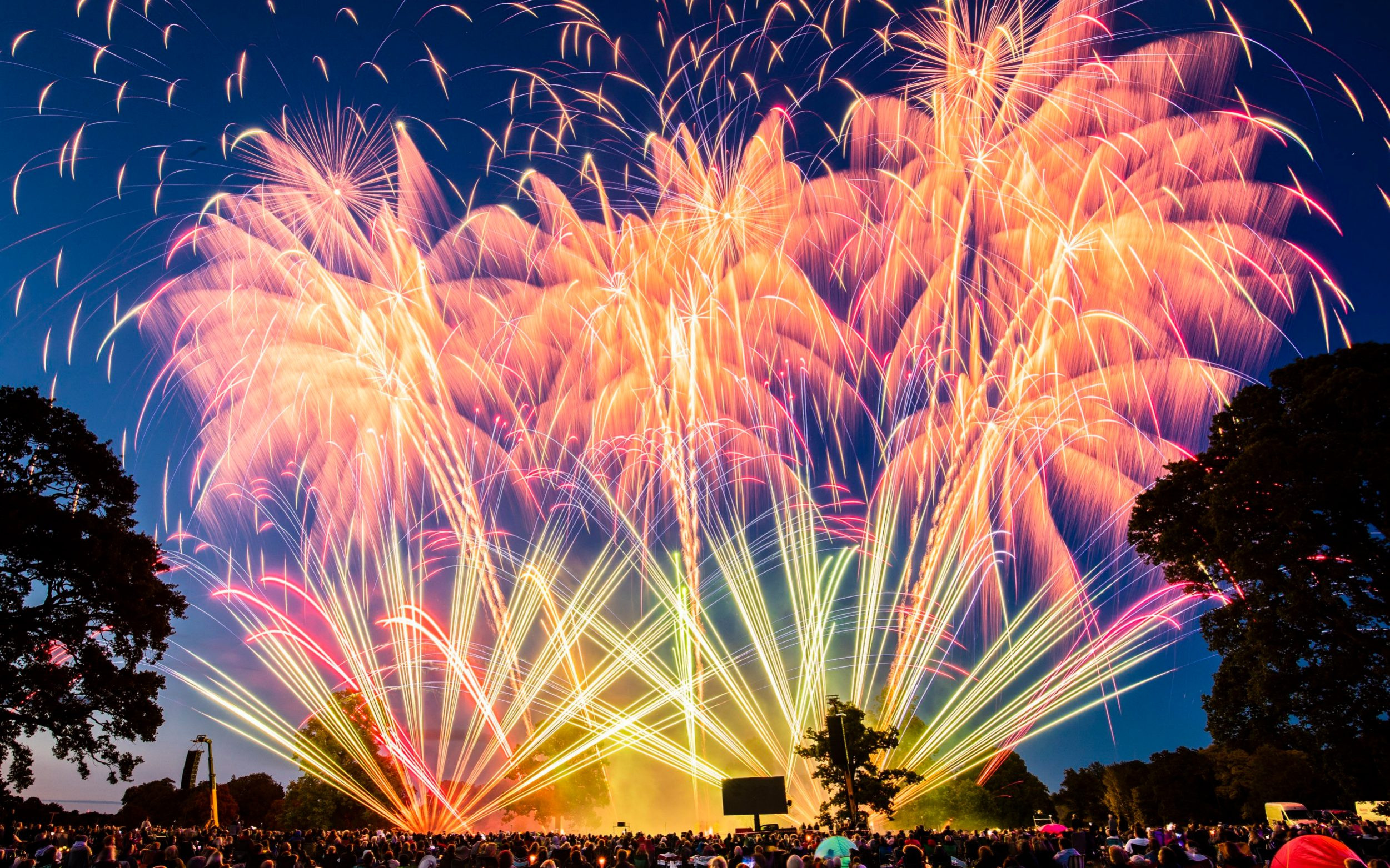 Firework display