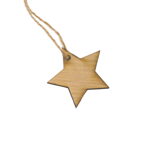 White background image of a single 6 Point Wooden Star Gift Topper