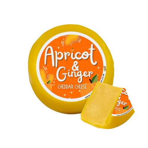 Apricot and Ginger Cheese Truckle Available to Shop at The Chuckling Cheese Company